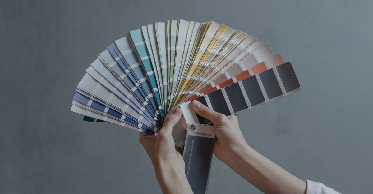 Travail de la couleur et de l'identité visuelle au studio
